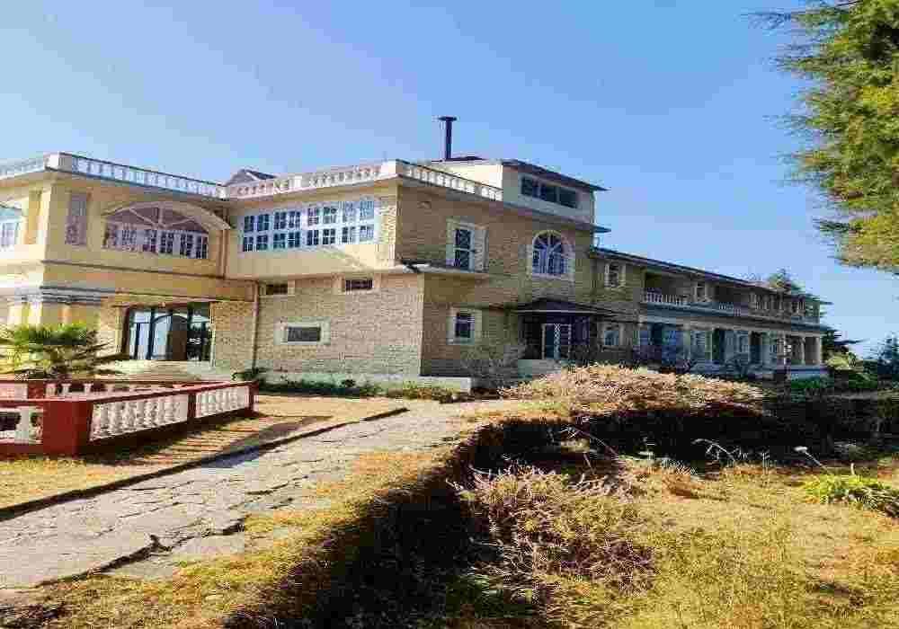 Tree of Life Grand Oak Manor Binsar