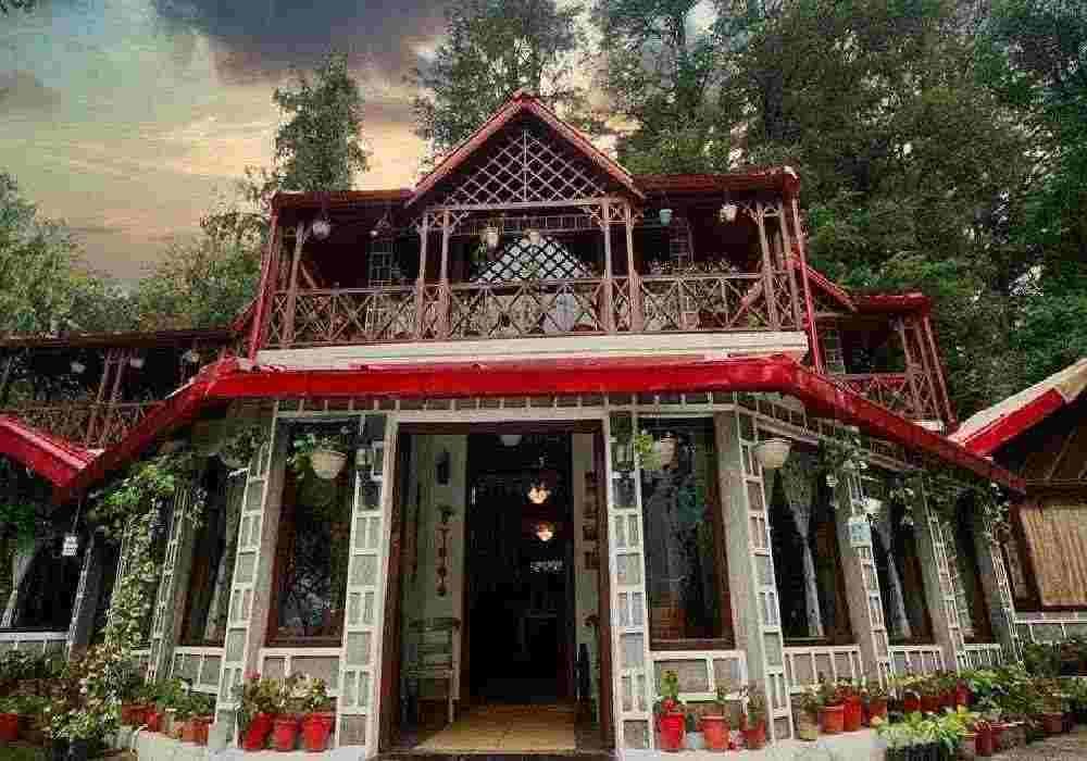 The Hive Cottage