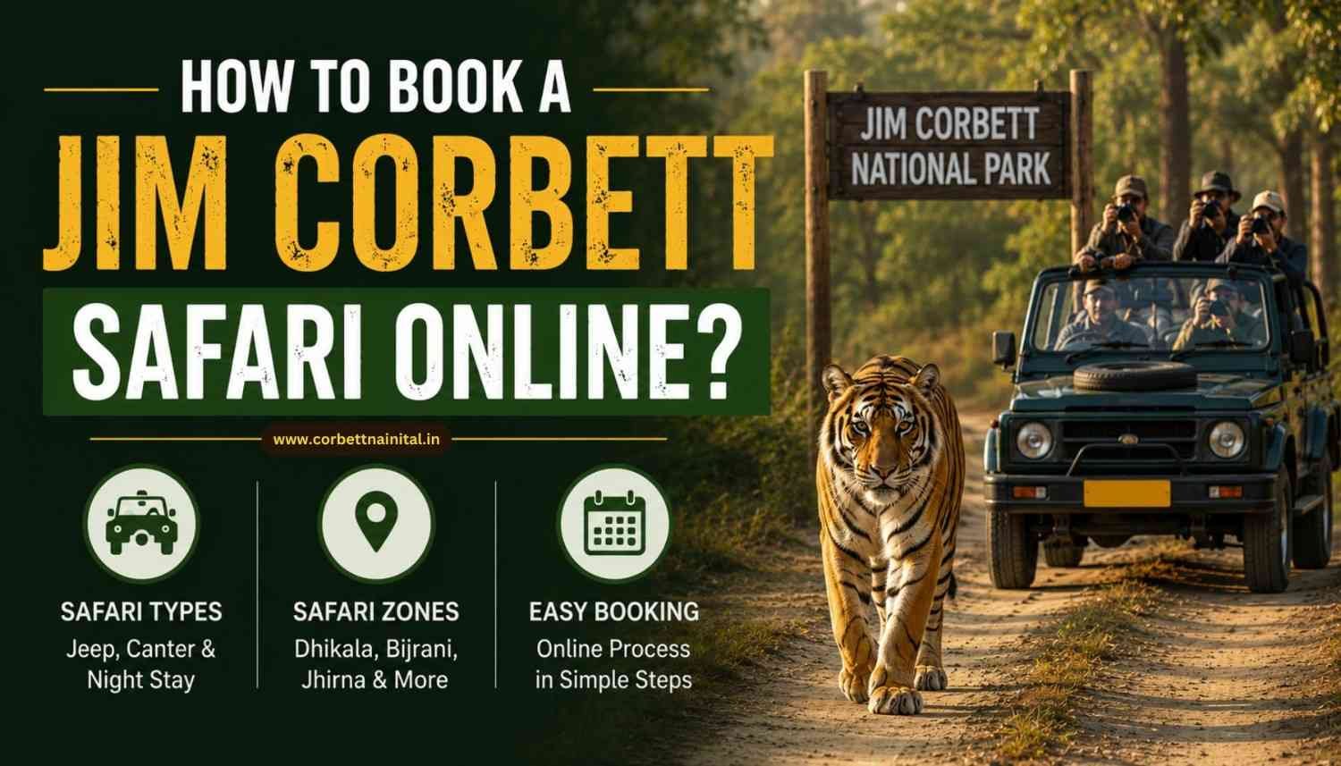 Jim Corbett Safari Booking Online Jungle Adventure