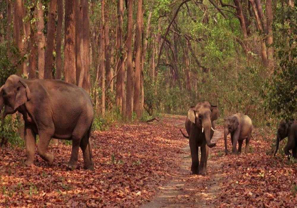 Aizawl to Nainital & Jim Corbett Tour Package