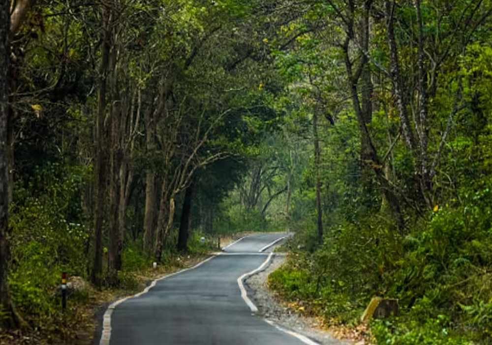 Bhopal to Kainchi Dham & Jim Corbett Tour