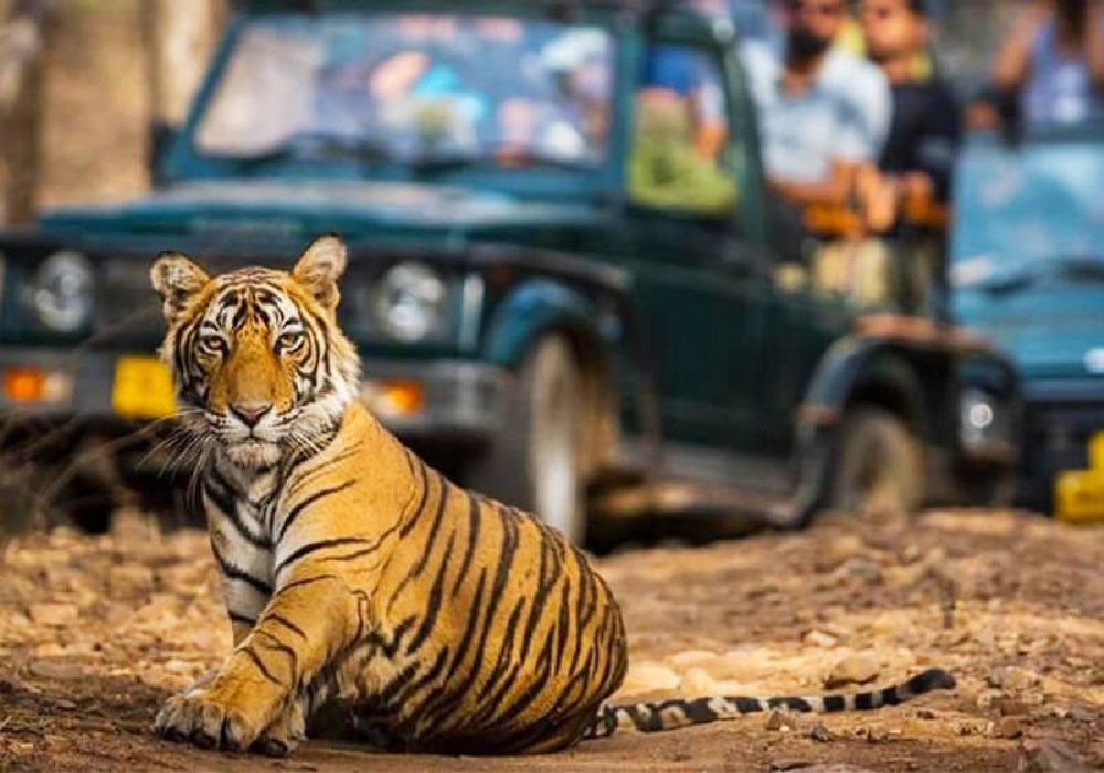 Bhubaneswar to Nainital & Jim Corbett Tour Package