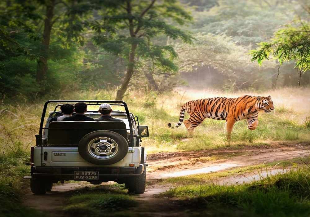 Chandigarh to Kainchi Dham & Jim Corbett Tour