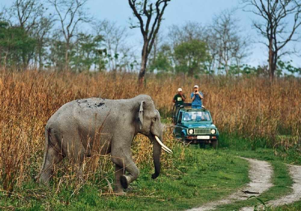Jim Corbett Safari at Dhikala Zone