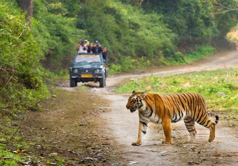 Family Tour in 	Jim Corbett