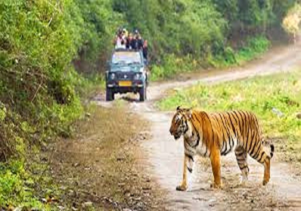 Mizoram to Jim Corbett Tour Package