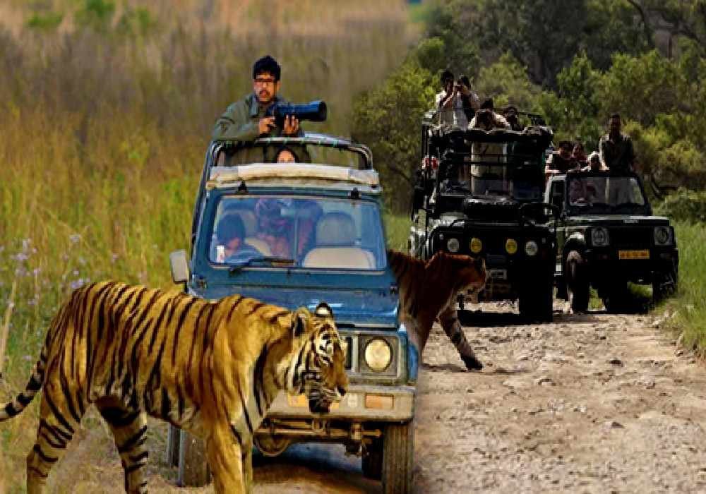 Imphal to Nainital & Jim Corbett Tour Package