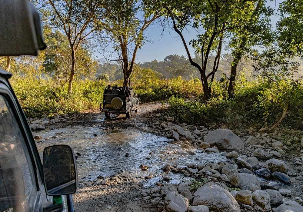 Jim Corbett Safari at Sitabani Zone