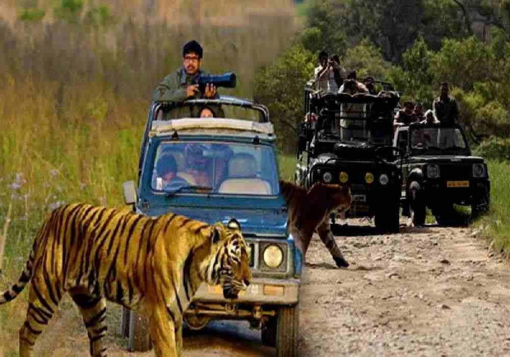 Kohima to Bhimtal & Jim Corbett Tour Package