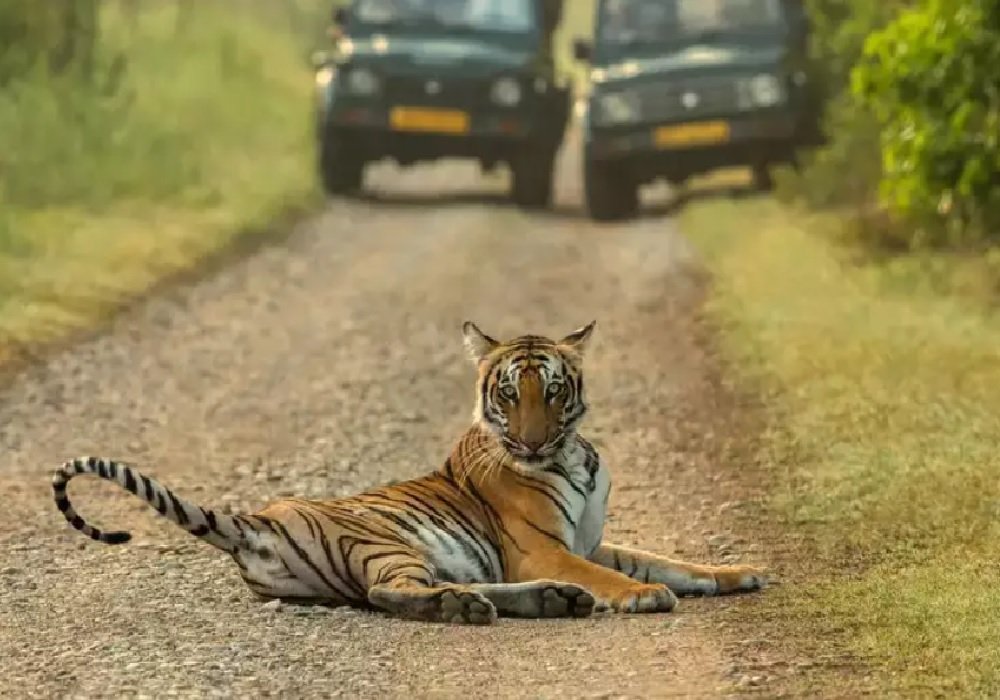 Lucknow to Kainchi Dham & Jim Corbett Tour