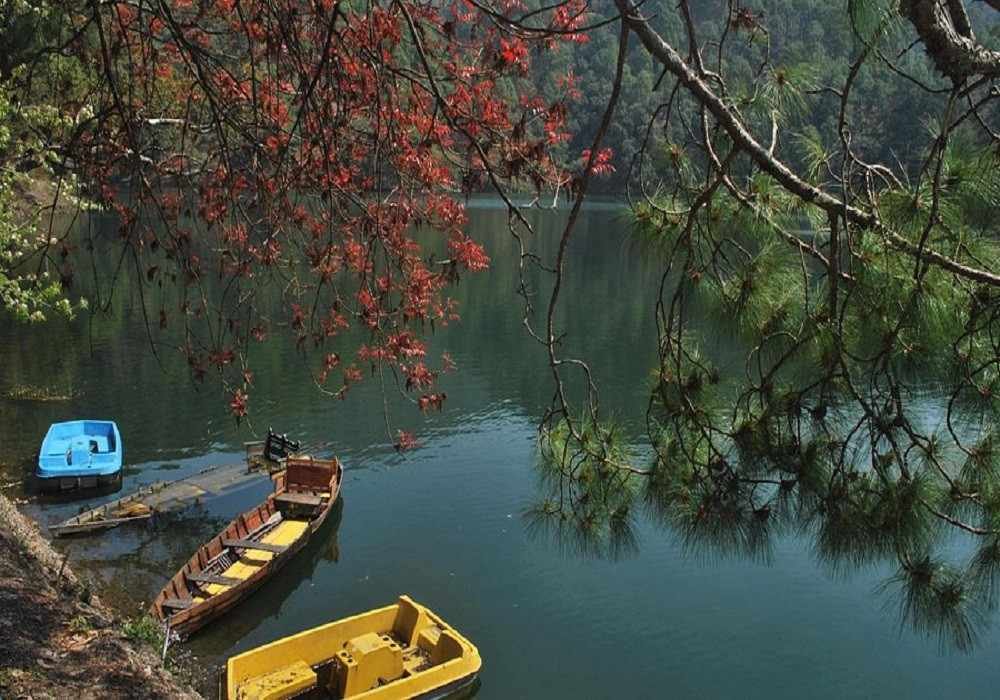 Himachal Pradesh to Sattal Tour Package