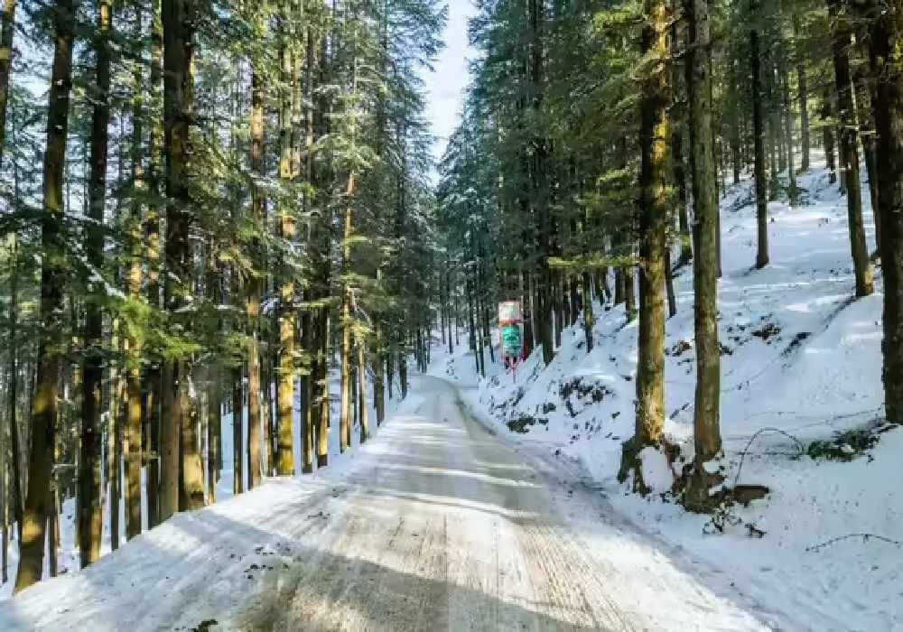 Shimla to Kainchi Dham & Jim Corbett Tour